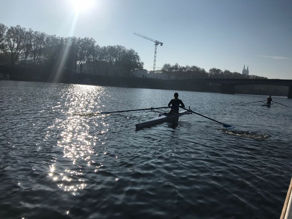 aviron ribou cholet